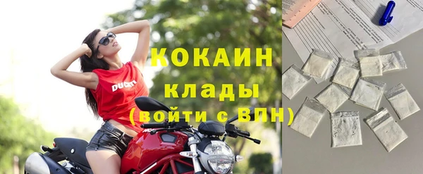 шишки Семилуки