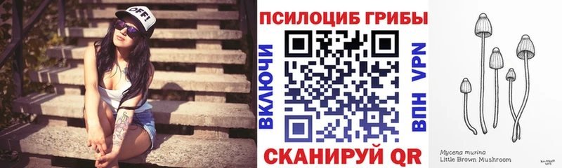 Псилоцибиновые грибы Cubensis  Коммунар 