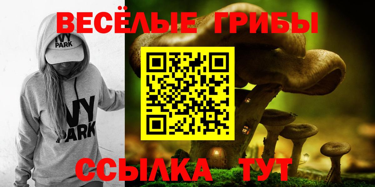 Псилоцибиновые грибы Cubensis Коммунар