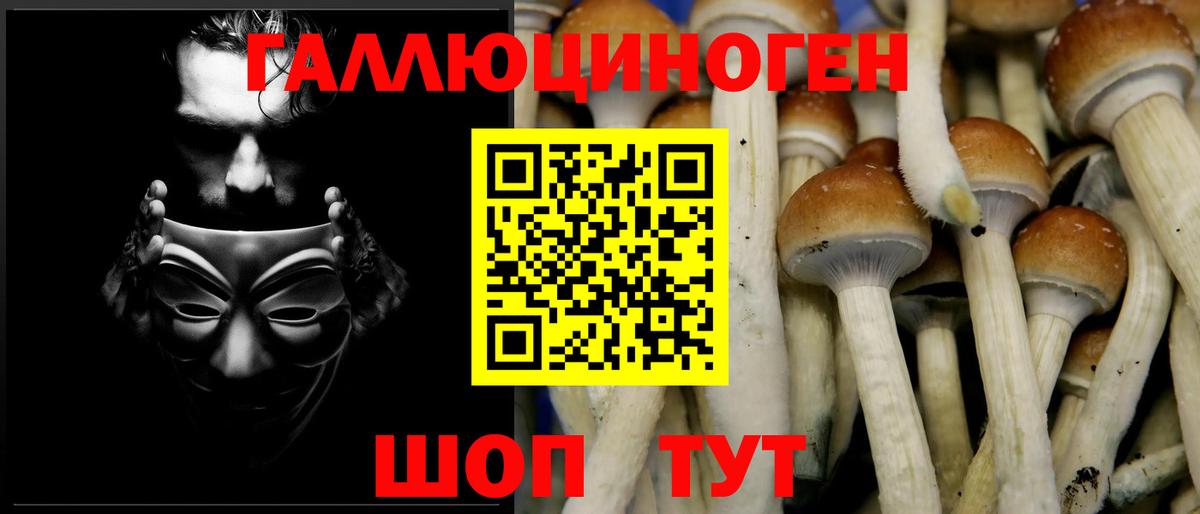 Галлюциногенные грибы Magic Shrooms  Галлюциногенные грибы Psilocybe  Коммунар  Вход с VPN 
